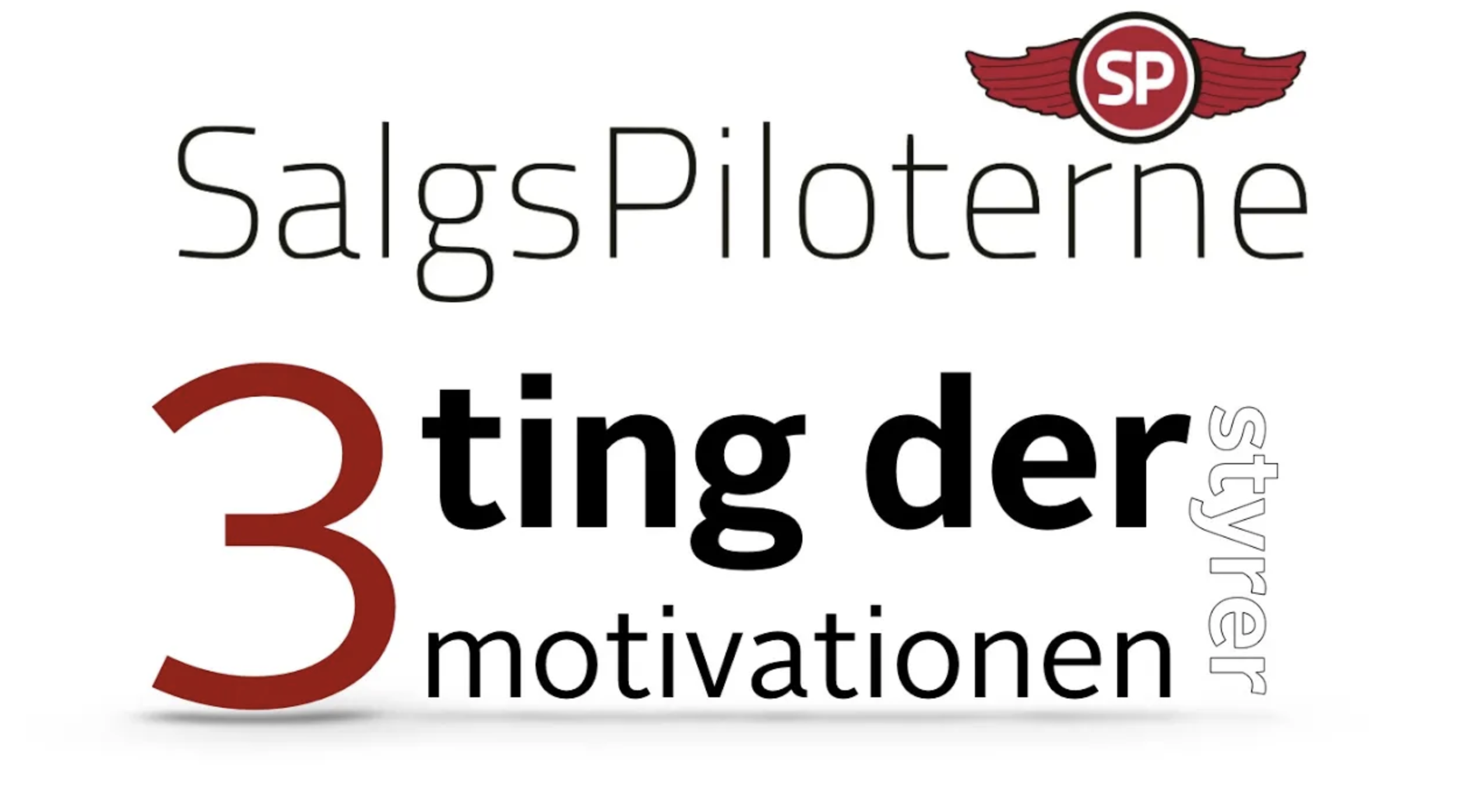 SalgsPiloterne Tony Evald Clausen 3 ting der styrer din motivation Salg Sælgere