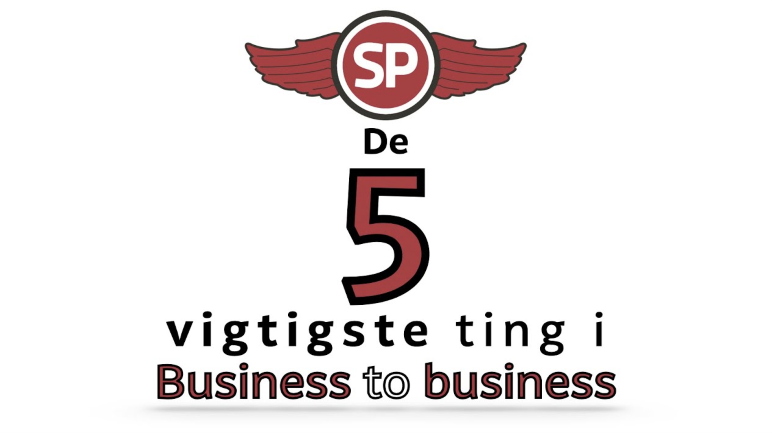 De 5 vigtigste ting i B2B salg - med SalgsPiloterne